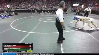 D3-126 lbs 1st Place Match - Brayden Sonnentag, Cadott vs Lucas Sullivan, Mineral Point