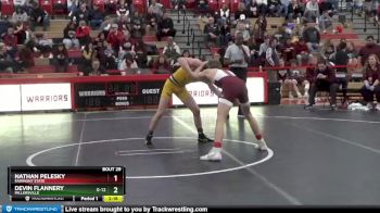 133 lbs Quarterfinal - Nathan Pelesky, Fairmont State vs Devin Flannery, Millersville