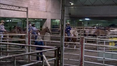 Best Of: Barrel Racing At K-Days Rodeo