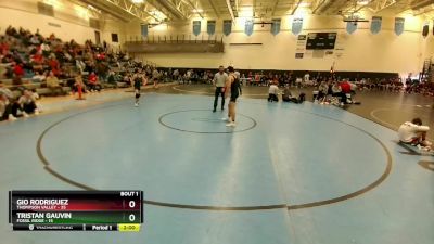 132 lbs Finals (2 Team) - Gio Rodriguez, Thompson Valley vs Tristan Gauvin, Fossil Ridge