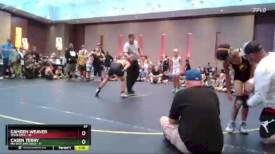 97 lbs Round 3 (4 Team) - Camden Weaver, Team Apex vs Casen Terry, MO Outlaws Gold