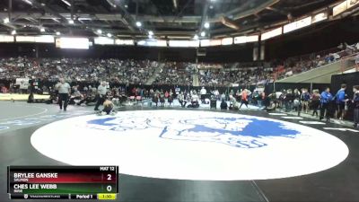 2A 113 lbs Quarterfinal - Ches Lee Webb, Ririe vs Brylee Ganske, Salmon