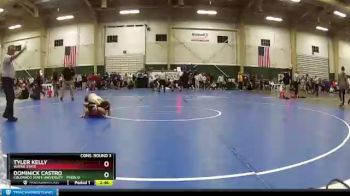 125 lbs Cons. Round 3 - Tyler Kelly, Wayne State vs Dominick Castro, Colorado State University - Pueblo