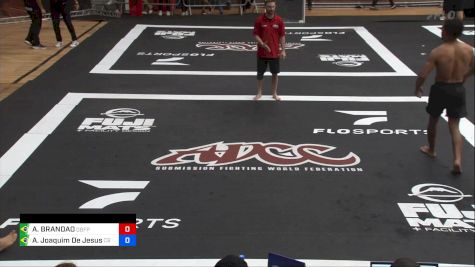 ARLEY BRANDAO vs Alexandre Joaquim De Jesus 2024 ADCC South American Trials 2