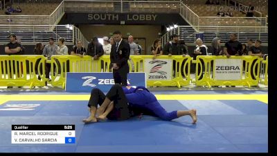 RENAN MARCEL RODRIGUES VIEIRA vs VINICIUS CARVALHO GARCIA 2022 Pan Jiu Jitsu IBJJF Championship