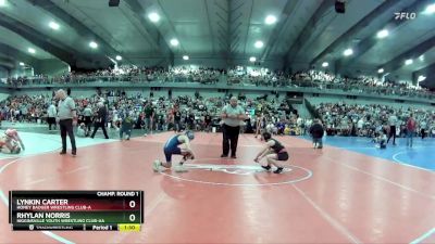 80 lbs Champ. Round 1 - Rhylan Norris, Higginsville Youth Wrestling Club-AA vs Lynkin Carter, Honey Badger Wrestling Club-A 