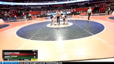 2A 138 lbs 3rd Place Match - Sammy Schuit, Lemont (H.S.) vs Anthony Streib, Antioch