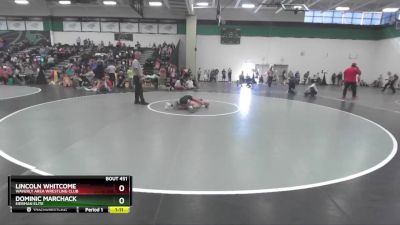 90 lbs Semifinal - Lincoln Whitcome, Waverly Area Wrestling Club vs Dominic Marchack, Eierman Elite