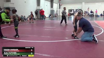 70 lbs Champ. Round 1 - Mason Vandiver, Buckhorn Youth Wrestling vs Bleu Fletcher, Tennessee Valley Wrestling