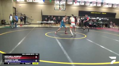 132 lbs Semifinal - Mitchell Murphy, Dubuque Wrestling Club vs Damion Clark, Ubasa Wrestling Academy