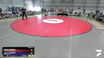 152 lbs Quarters & 1st Wb (16 Team) - Cash Morrell, Pennsylvania Red vs Cael Gilmore, Ohio Gray