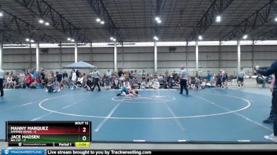 97 lbs Finals (8 Team) - Jace Madsen, Big Cat vs Manny Marquez, Hammer Heads