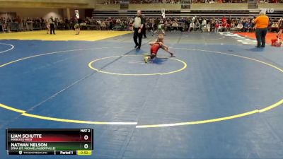 70 lbs Champ. Round 1 - Liam Schutte, Mankato West vs Nathan Nelson, STMA (St. Michael/Albertville)