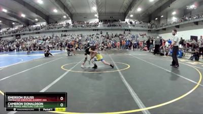 60 lbs Quarterfinal - Emerson Euliss, Terminator Wrestling Academy-AAA  vs Cameron Donaldson, FH Jr Vikings Wrestling Club-AAA