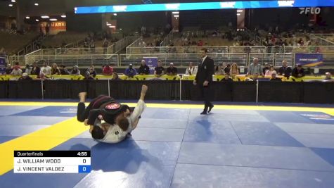 JOSHUA WILLIAM WOOD vs JASON VINCENT VALDEZ 2024 Pan Jiu Jitsu IBJJF Championship