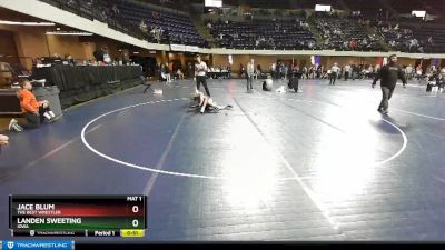 90 lbs Cons. Round 3 - Jace Blum, The Best Wrestler vs Landen Sweeting, Iowa