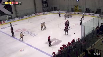 Replay: Home - 2024 Cougars U18 AAA vs Brandon U18 AAA | Feb 2 @ 7 PM