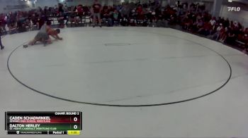 193 lbs Champ. Round 2 - Dalton Herley, St. Marys Cardinals Wrestling Club vs Caden Schadwinkel, Seward High School Wrestling