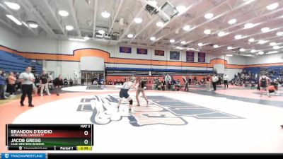 133 lbs Champ. Round 1 - Jacob Gregg, Case Western Reserve vs Brandon D`Egidio, Heidelberg University