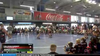 110 lbs Round 9 (10 Team) - Andrew NOWAK, Panda Wrestling Academy vs Callahan Earnest, Backyard Brawlers
