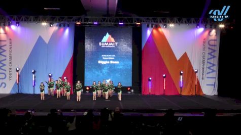 Venom Allstars - Biggie Boas [2024 L2 Youth - D2 - Small - A - WC Day 1] 2024 The Youth Summit