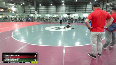 113 lbs Semis (4 Team) - Cooper Brandt, SHENANDOAH VALLEY WC vs Tomas Melendez, D1 ELITE