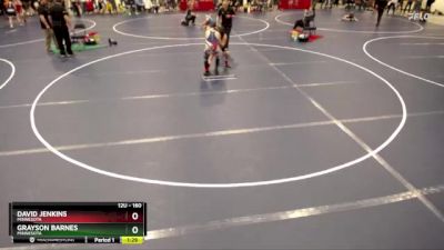 160 lbs Quarterfinal - David Jenkins, Minnesota vs Grayson Barnes, Minnesota