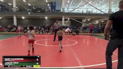 45 lbs Round 4 (6 Team) - Kasey Kaliszewski, Brecksville vs Landon Wray, Perrysburg