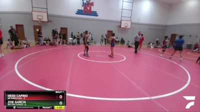 100 lbs Finals (2 Team) - Zoe Garcia, Big Dog Ranch vs Heidi Caprio, BB Wrestling