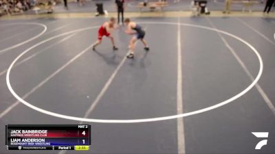 132 lbs 3rd Place Match - Jack Bainbridge, Hastings Wrestling Club vs Liam Anderson, Rosemount Irish Wrestling