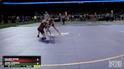 D3-150 lbs Cons. Round 2 - Leland Payne, Buchanan HS vs Hawk Harding, Williamston HS