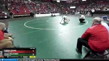 D1-170 lbs Quarterfinal - Caden Young, Shawano Com. vs Noah Mulvaney, Arrowhead
