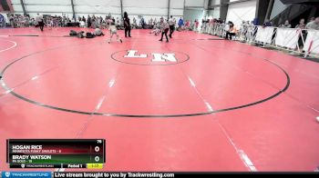 76 lbs Rd# 8- 12:30pm Saturday Final Pool - Brady Watson, PA Gold vs Hogan Rice, Minnesota Funky Singlets