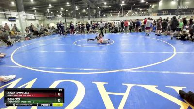 80 lbs Round 1 (6 Team) - Cole Littman, GREAT NECK WC - GOLD vs Ben Cox, SHENANDOAH VALLEY WC