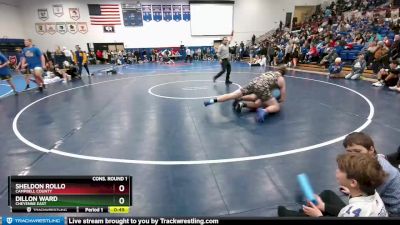 220 lbs Cons. Round 1 - Sheldon Rollo, Campbell County vs Dillon Ward, Cheyenne East