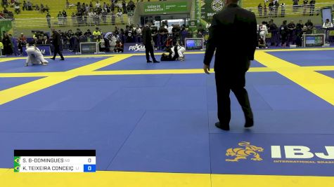 JULIA BANDEIRA AYRES SANT'ANNA vs RAFAELA DO NASCIMENTO SILVA 2024 Brasileiro Jiu-Jitsu IBJJF