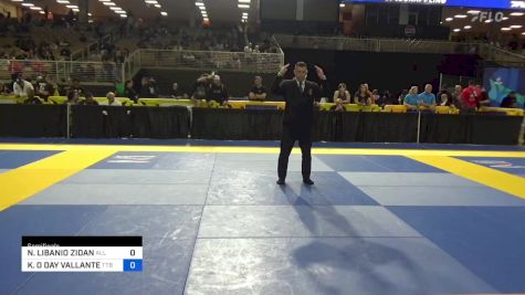 NATALIA LIBANIO ZIDAN vs KELLY O DAY VALLANTE 2024 Pan Jiu Jitsu IBJJF Championship
