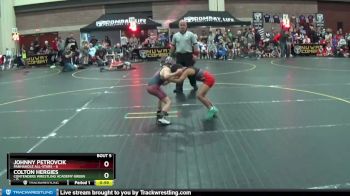 50 lbs Round 2 (6 Team) - Colton Hergies, Contenders Wrestling Academy Green vs Johnny Petrovcik, Panhandle All-Stars