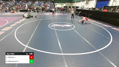 175 lbs Round Of 32 - Connor Wetzel, PA vs Braidon Woodward, NY