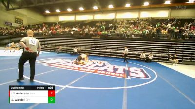 157 lbs Quarterfinal - Cole Andersen, Spanish Fork vs Jayce Wandell, Cedar Valley