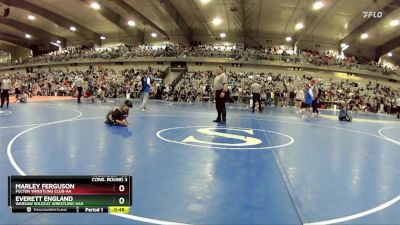 80 lbs Cons. Round 3 - Marley Ferguson, Fulton Wrestling Club-AA vs Everett England, Warsaw Wildcat Wrestling-AAA