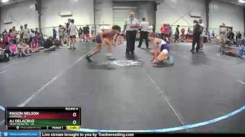 108 lbs Round 6 (8 Team) - AJ DeLacruz, Team Palmetto vs Mason Nelson, Assassins
