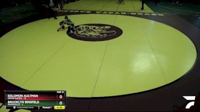 65 lbs Semis (4 Team) - Brooklyn Binsfeld, Paynesville vs Solomon Aultman, Grand Rapids