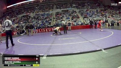 190 lbs Champ. Round 1 - Mickey Daring, Fort Wayne Bishop Luers vs Boston Caudell, Madison Grant