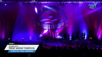 Island Elite - Teeny Weeny TidePool [2024 L1 Tiny - Novice - Restrictions 1] 2024 The American Showcase DI & DII