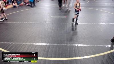 47 lbs Semifinal - Kellen Bushaw, Carolina Reapers vs Camden Nuckolls, Palmetto State Wrestling Acade