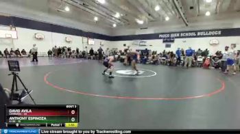 182 lbs Round 2 (4 Team) - David Avila, Chiawana vs Anthony Espinoza, Ki-Be