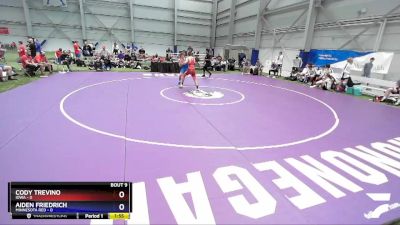 138 lbs Quarters & 1st Wb (16 Team) - Cody Trevino, Iowa vs Aiden Friedrich, Minnesota Red