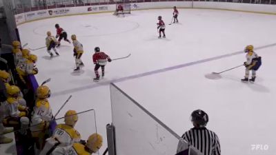 Replay: Predators vs Atlanta Fire U12 | Dec 2 @ 9 AM