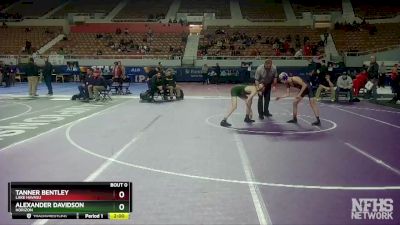 D2-106 lbs Champ. Round 1 - Alexander Davidson, Horizon vs Tanner Bentley, Lake Havasu